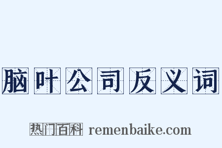 脑叶公司反义词是什么意思的图片